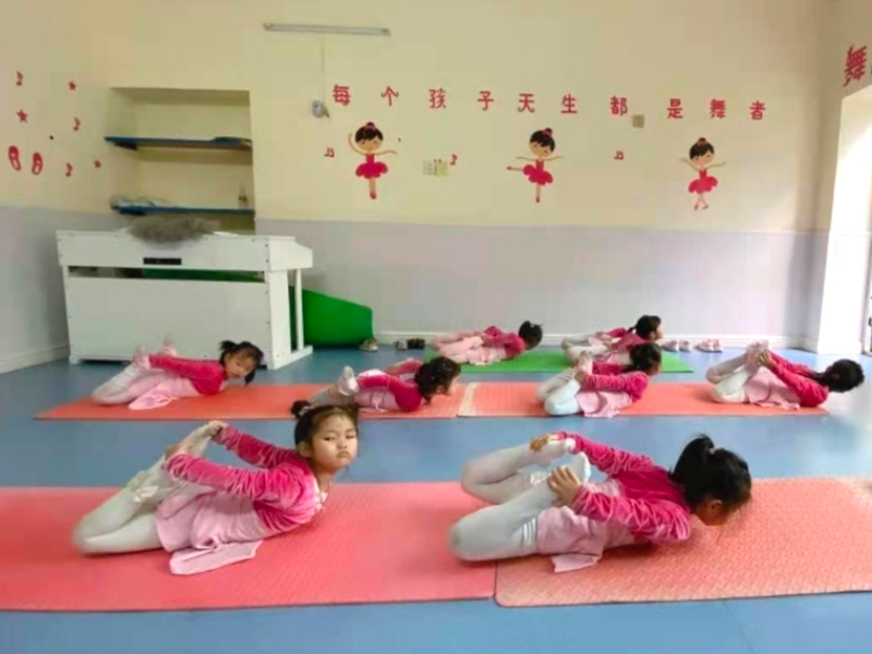 郴州市北湖區(qū)金橋幼兒園師生風(fēng)采4舞蹈練習(xí)