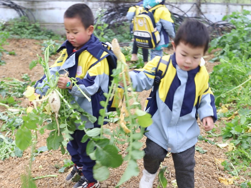 北湖區華嬰愛蕊幼兒園師生風采